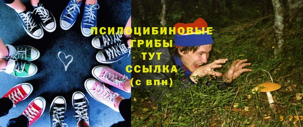 гидропоника Белокуриха