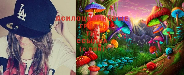 винт Баксан