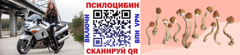Псилоцибиновые грибы Psilocybe МЕГА зеркало Калининец нарко площадка состав купить наркотик
