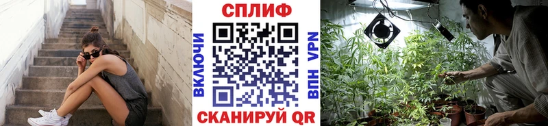 Каннабис Amnesia  Калининец 